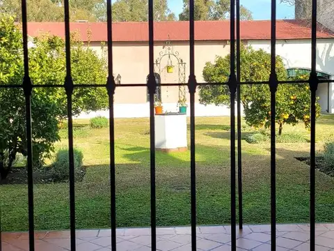 Campo en San Vicente 742 has
