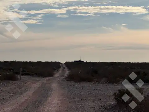EN VENTA | 10 HECTÁREAS | LA MESETA | NEUQUÉN