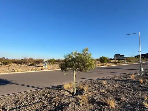 Terreno en Venta de 769,0 m2