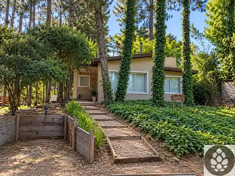 Casa Bianca | Casa en el bosque para 4 personas