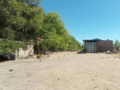Galpón ubicado en la ciudade de Senillosa, provincia de Neuquén.