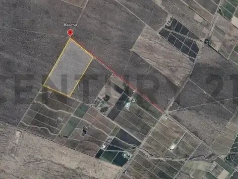 Servidumbre de Tránsito con salida a Los Álamos y Ruta Provincial 89 100, Piso 0