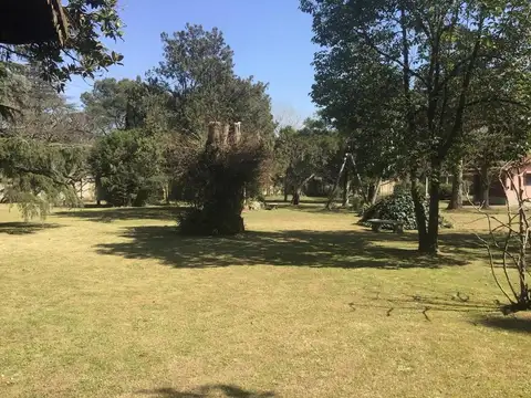 Sapaleri 1000