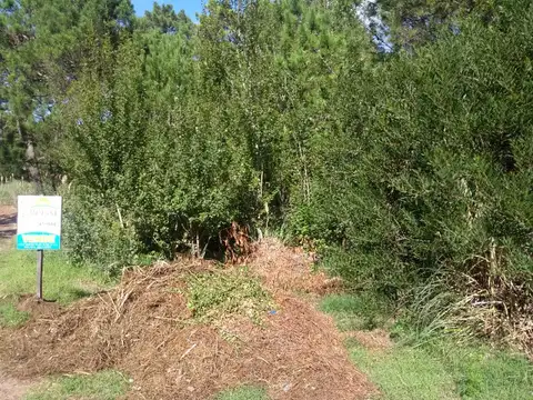 Lote Unifamiliar apto dos propiedades. 