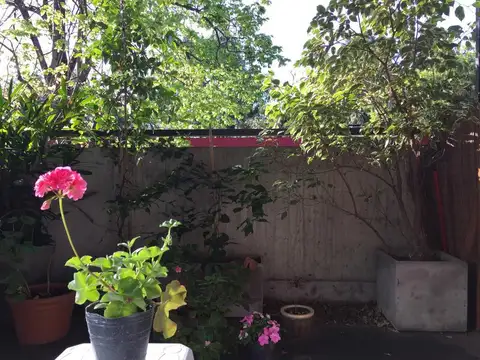 Departamento en Alquiler 12 años