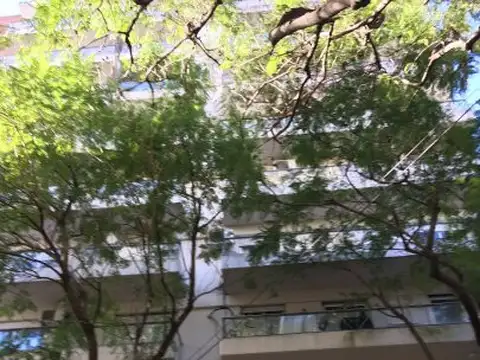 San Lorenzo 2000 , Piso 6