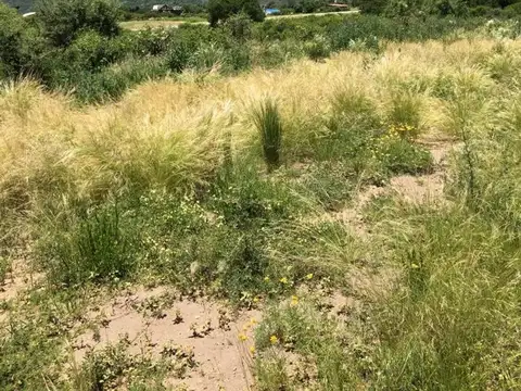 Ruta Al Piscu Yaco