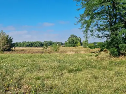 Terreno en Venta de 1607,0 m2