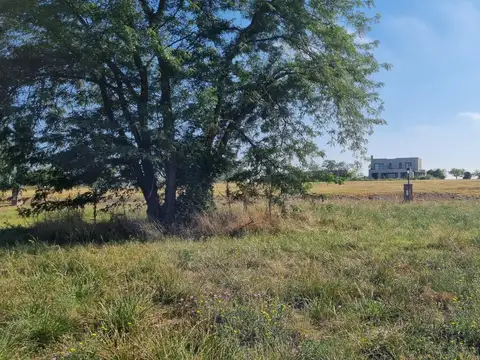 Terreno en Venta 55  mts Fondo