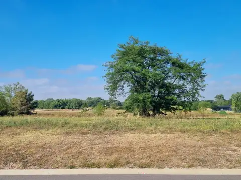 Pilara