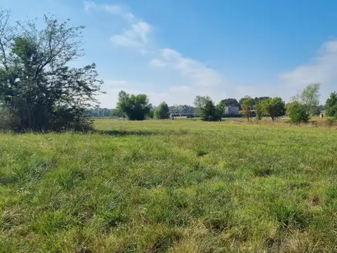 Terreno en Venta de 1607,0 m2