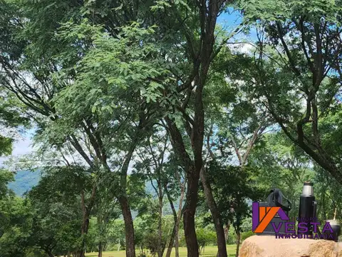 La mision Vaqueros 100