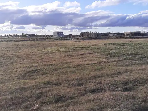 Oportunidad, precio único Terreno en Campos de la Enriqueta VENTA
