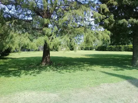 Terreno - San Lorenzo