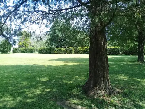 Terreno en Venta 35  mts Frente