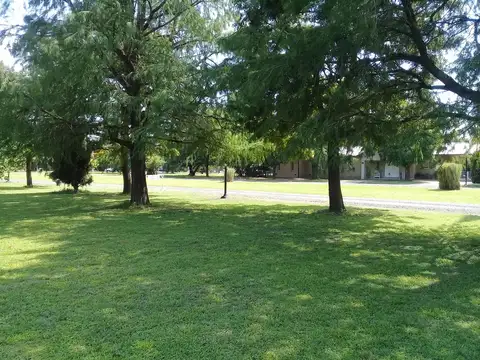 Terreno - San Lorenzo