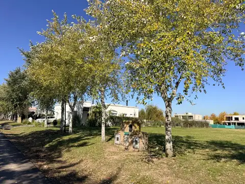 Ruta 2