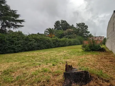 Terreno en Venta 53  mts Frente