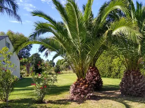 Country golf Chascomus