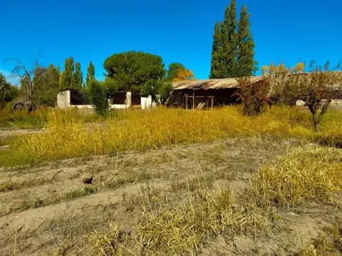 Terreno en Venta de 10000,0 m2
