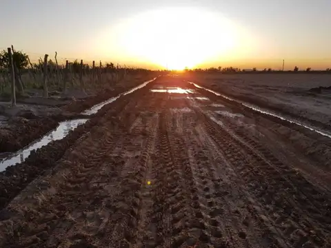 Century 21 López ofrece a la venta finca productiva de 24 hectáreas en Montecase