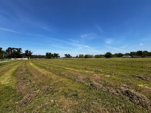 Terreno en Venta de 3903,0 m2