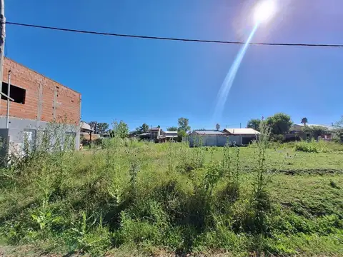 Jardin De Los Pioneros Calle 1