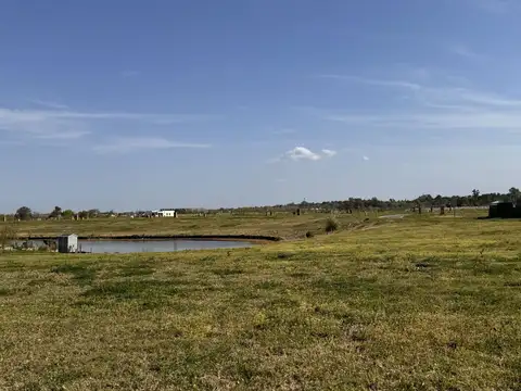 Ruta 25