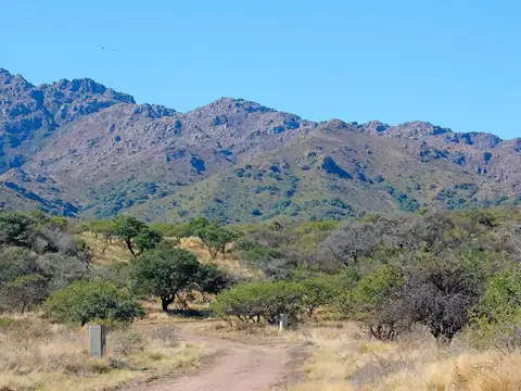 Terreno en Venta de 1273,0 m2