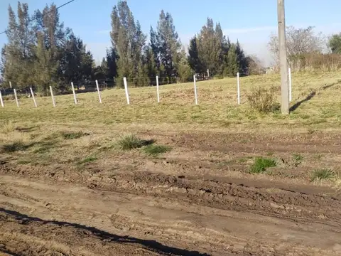 Terreno en Venta de 300,0 m2