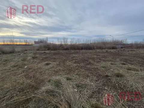 Terreno en Venta - Bº La Agustina - Allen