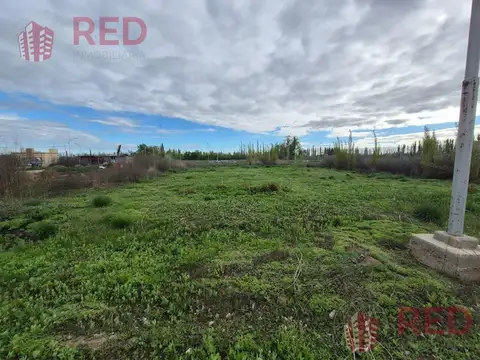 Terreno en Venta - Bº La Agustina - Allen
