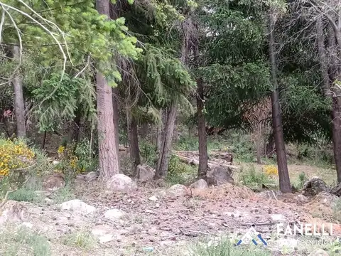 Lotes en Villa Traful (cód. 216)