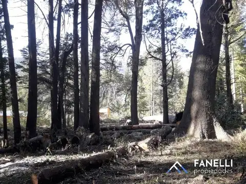 Terreno en Venta en Villa Traful, USD 120.000