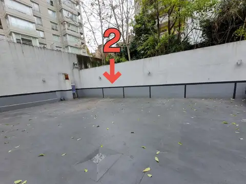 Jorge Luis Borges 2100