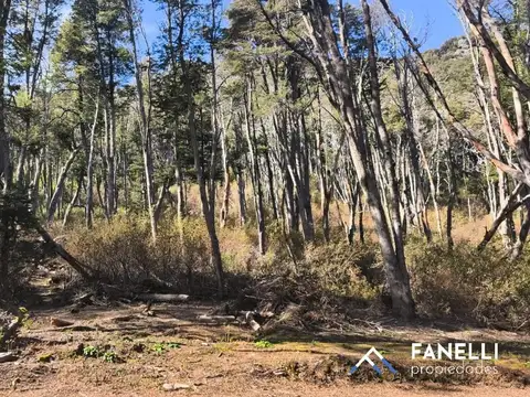 Terreno en Venta, FOS 5