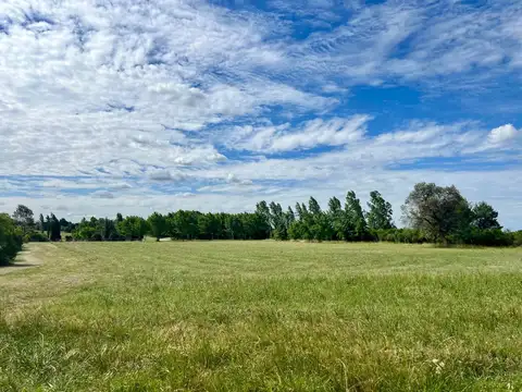 Terreno en Venta de 6200,0 m2