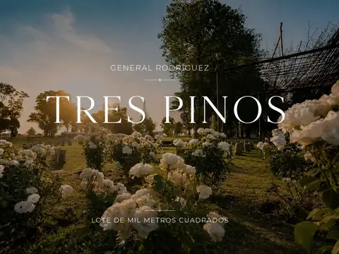 Terreno en Venta en General Rodríguez, Partido de General Rodríguez