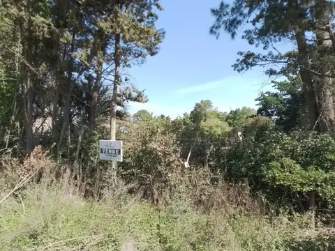 Juan Manuel Zamudio 400