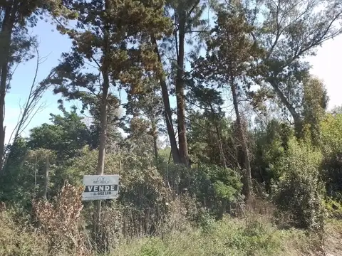 Terreno en Venta 26  mts Fondo