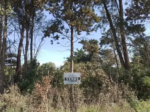 OFERTA por dos excelentes lotes en venta, General Las Heras