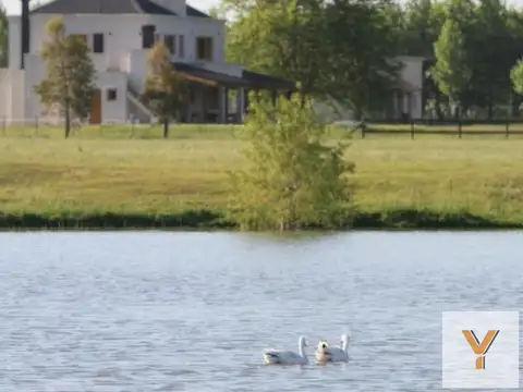 Club de Campo Las Lilas