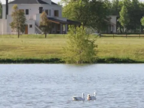 Terreno en Venta en Estancias Las Lilas, USD 72.000