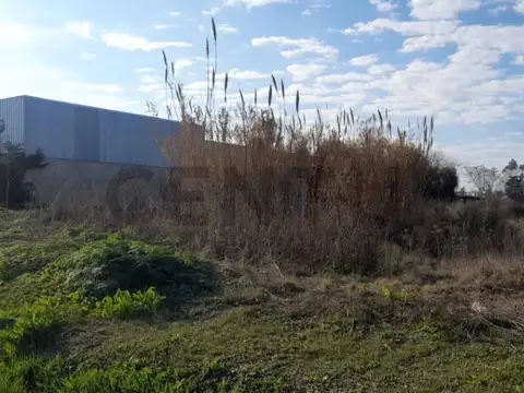 133 ENTRE 518 Y 51 , Piso 0