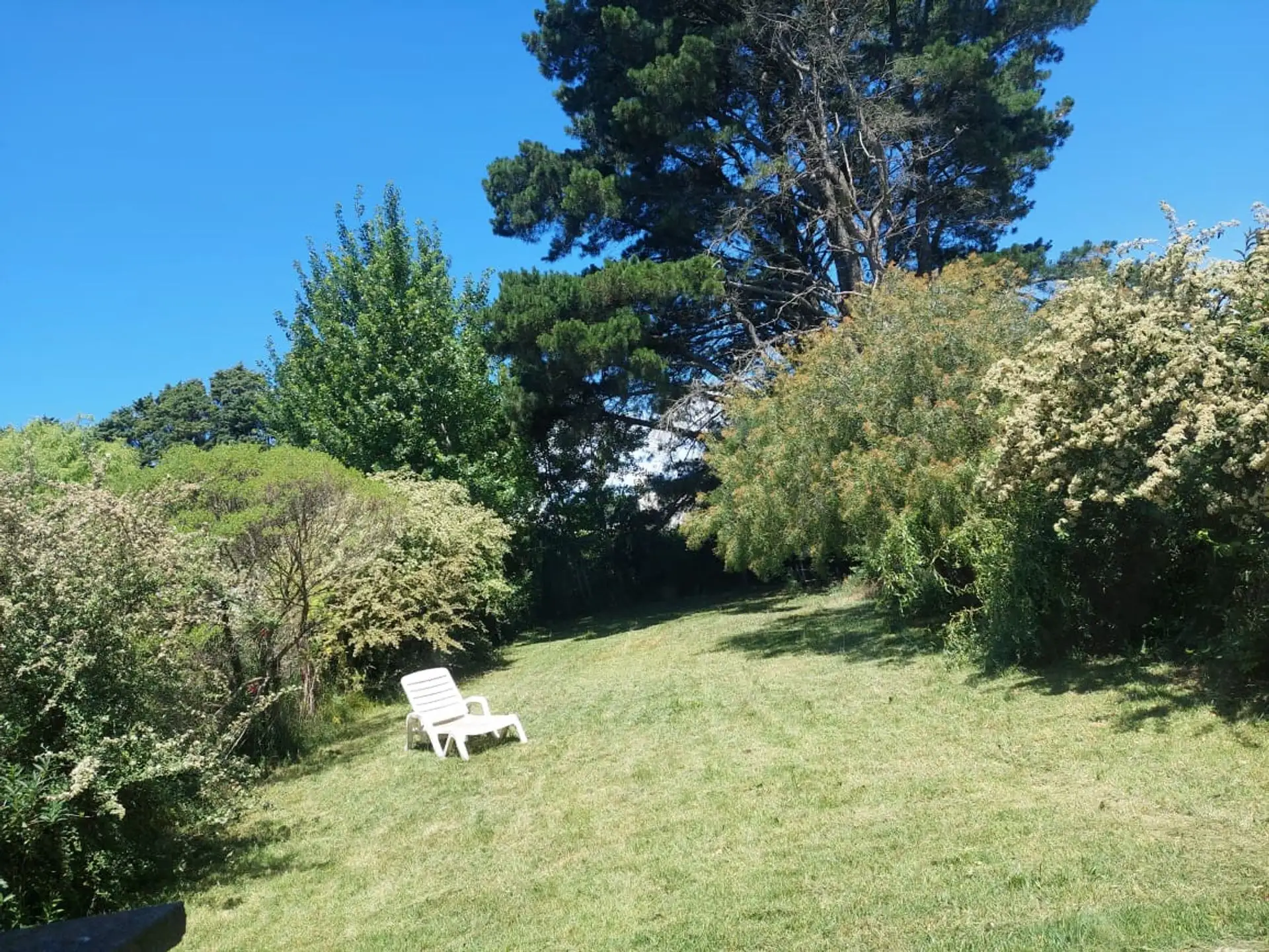 Casa 2 dorm, 120m² en Calle J Bisogni 2542 — Cerro de los Leones