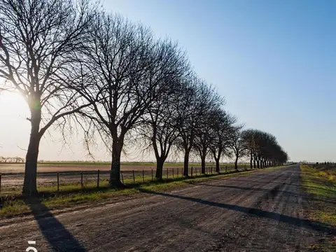 Terreno en Venta en Ibarlucea, USD 65.000