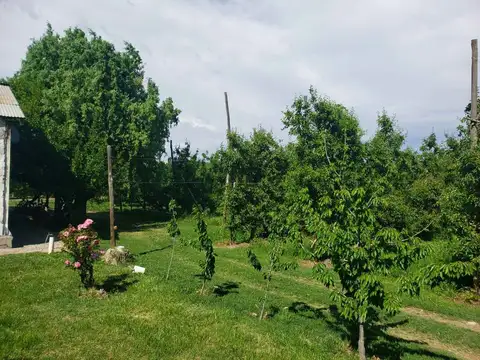 Terreno en Venta de 95000,0 m2