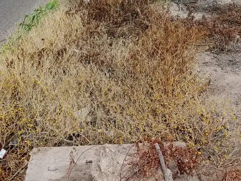 Terreno/lote Venta Maipu. Necochea S/N