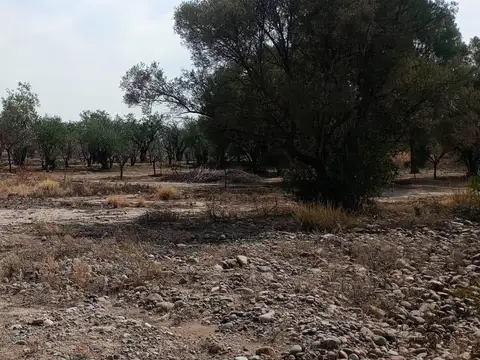 Terreno en Venta de 500,0 m2