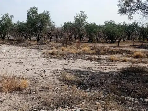 Venta Terreno/Lote Maipu